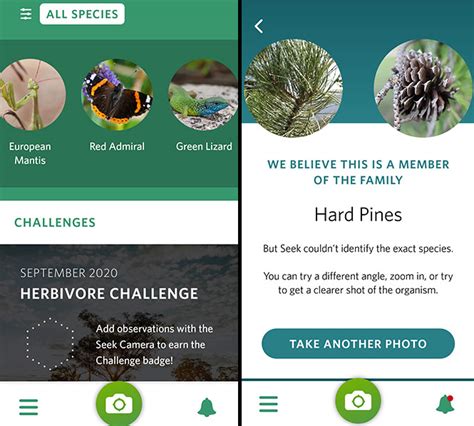 Most plant identification apps have the ability to identify plants, fruits, flowers, and vegetation from the traits or images. 5 Best Tree Identification Apps for Android & iOS (2020)
