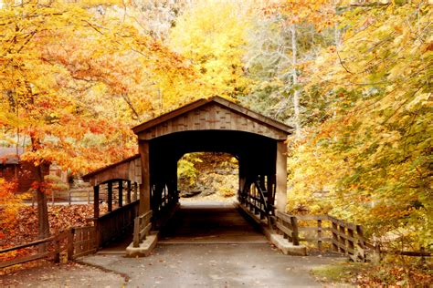 Covered Bridge In Forest 1 Free Stock Photo Public Domain Pictures