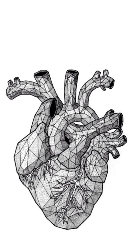 Anatomical heart tattoo by hongdam inked anatomical tattoos. Cryz Weeks | Anatomical heart art, Drawings, Heart drawing