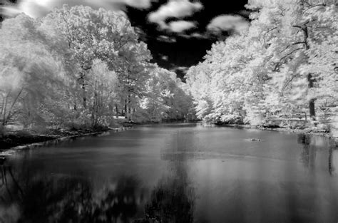 Black And White Winter Wonderland Photograph By Ae Jones