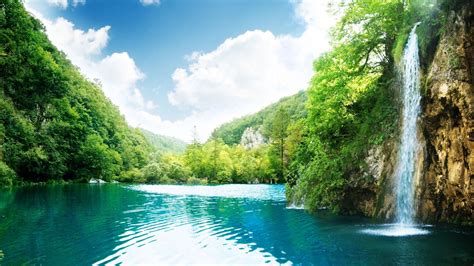 Waterfall Pouring On River Surrounded By Trees In Jungle 4k Hd Jungle