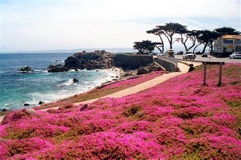 Pacific Grove Monterey Calif Free Stock Photo Public Domain Pictures