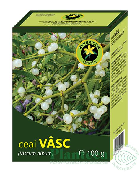 Ceai Vasc G Hypericum Plant Pret Lei Planteea