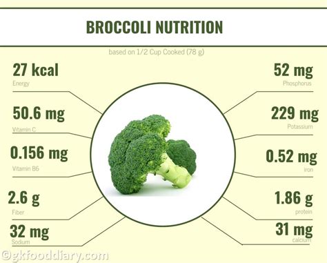 Broccoli For 5 Month Old Baby Broccoli Walls