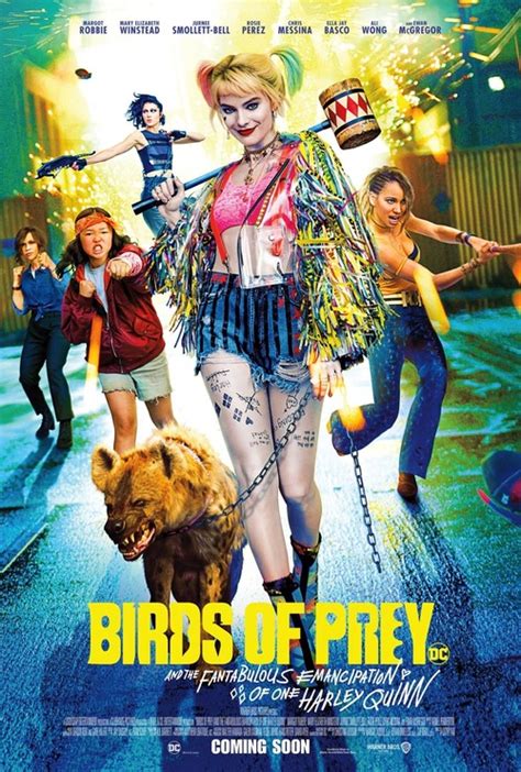 Critics' first reactions to 'birds of prey'. Birds of Prey DVD Release Date | Redbox, Netflix, iTunes ...