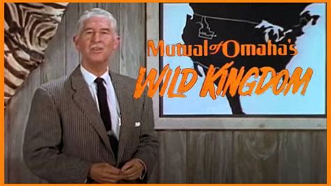 Mutual Of Omahas Wild Kingdom 1964 With Marlin Perkins Wild