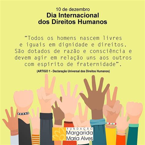 Quantos Anos De Direito