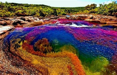 Caño Cristales Colombia Rainbow River Lago Hillier Cool Places To