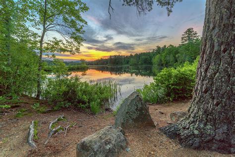 Sunset By The Great White Pine Photograph By Mike Mcquade Fine Art