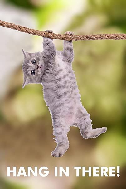 Hang In There Cat Hanging From Branch Funny Retro