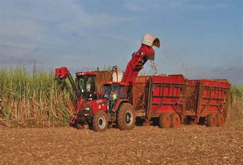 Afrique du Sud  Pertes sensibles de la production agricole  www.l