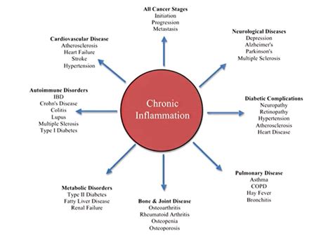 What Is Chronic Inflammation And Why Is It Killing Us