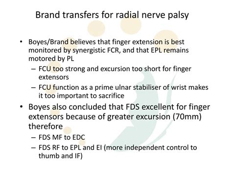Ppt Radial Nerve Palsy Tendon Transfers Episode Ii Powerpoint