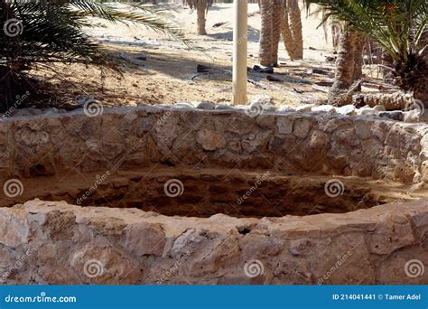 Moses Springs Water Wells And Palms In Sinai Peninsula Ras Sidr