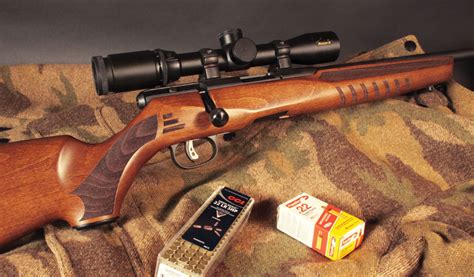 Review Savage B22 G Rifle Shooter