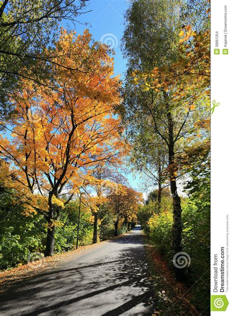 Colorful Autumn Landscape Stock Photo Image Of Architecture 38861354