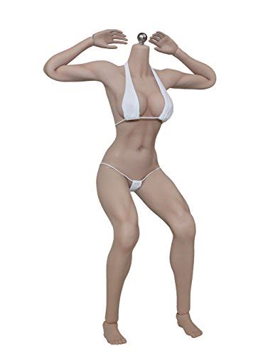 Phicen 16 Muscular Female Seamless Body Super Flexible Figure Import