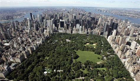 🌳 Central Park Le Poumon De New York