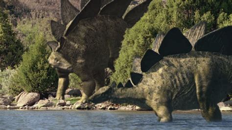 Stegosaurus Walking With Dinosaurs Wiki Fandom Powered By Wikia