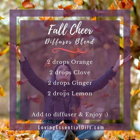 10 Fall Diffuser Blends Wonderful Scents Of The Season Recipe Diffuser Blends Fall