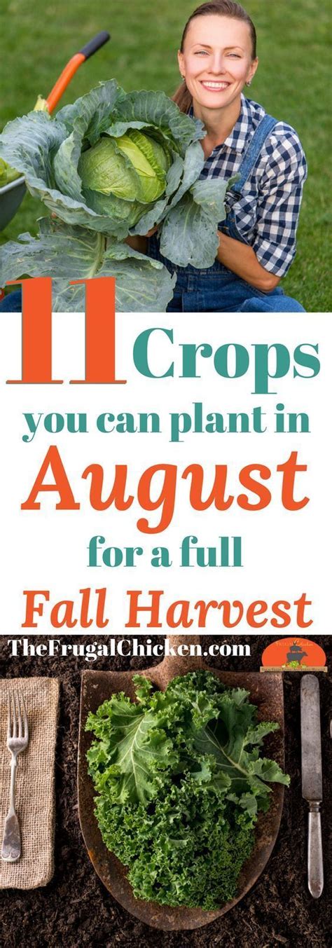 Growing conditions and ripening cycles are different depending on the plant and the season, so you should not sow all the seeds at the same. 11 Vegetables You Can Start In August For A Full Fall ...