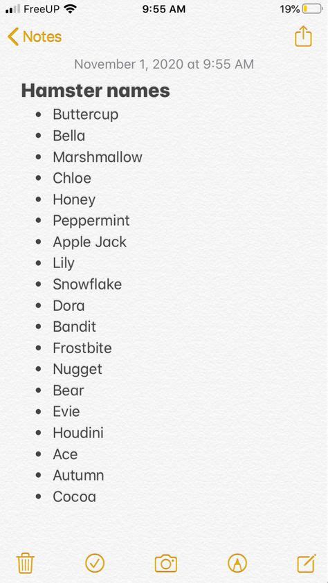 Unique And Cute Hamster Names To Suit Every Personality