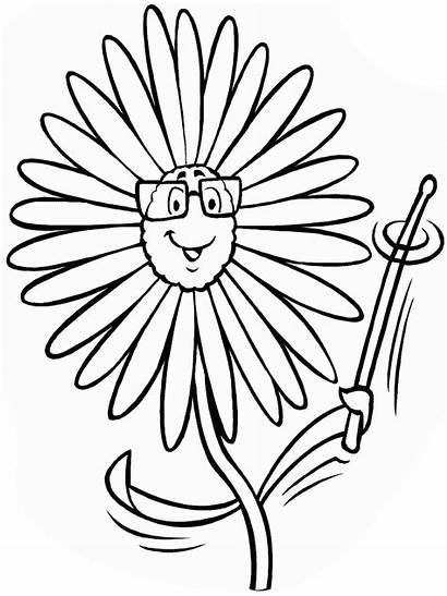 Cartoon Daffodil Clipart Flower Daisy Clip Coloring