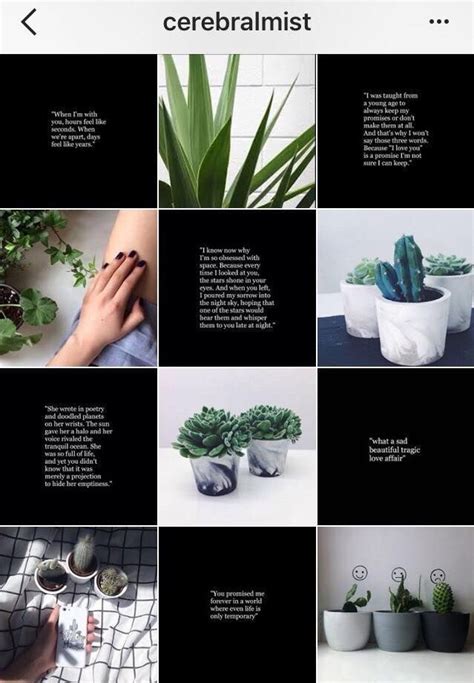 Ejemplos Para Tu Feed De Instagram Instagram Feed Instagramtips