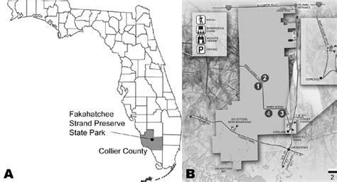 A County Map Of Florida Showing Collier County And The