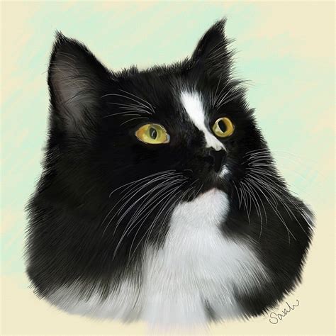 Black And White Cat Digital Painting By Sarahbob Redbubble