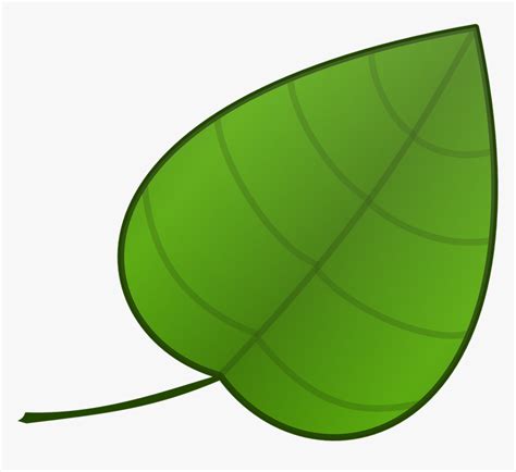 Simple Green Leaf Template Hd Png Download Transparent Png Image