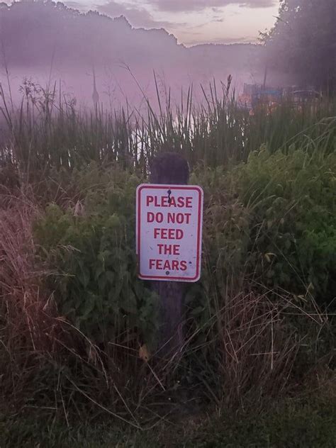 Please Do Not Feed The Fears Definitely Gave Me Goose Bumps While