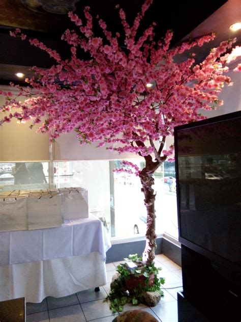 Cherry Blossom Tree For Rent Philippines Buy And Sell Marketplace