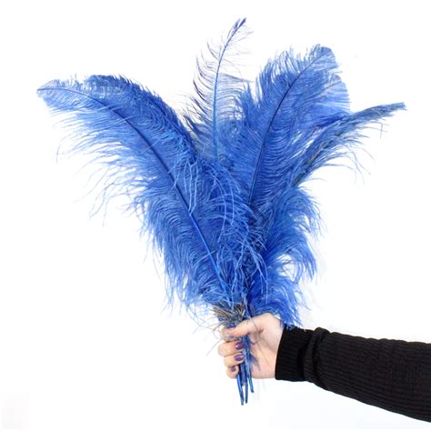 Plumas Grandes Para Decoração