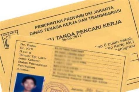 Recruitment pt sci pt selalu cinta indonesia info lowongan kerja. Begini Cara Membuat Kartu Kuning Pencari Kerja Halaman all ...