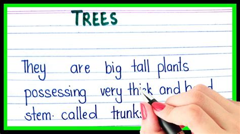 Definition Of Tree Types Of Tree What Is Tree Youtube
