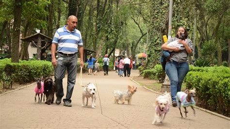 Reglamento De Mascotas En Los Parques Parques Alegres Iap