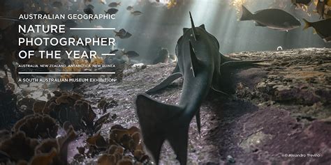 Australian Geographic Nature Photographer Of The Year 2022 Exhibition