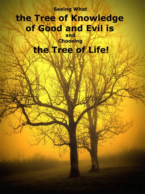 Seeing What The Tree Of Knowledge Of Good And Evil Is And