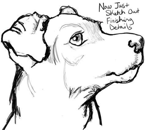 To help you find your drawing inspiration, i'm releasing a new drawing tutorial every month for one year, and this time, you can learn how to draw a dog step by step. How to Draw a Terrier's Face / Dog's Face with Easy Steps | Realistic drawings, Dog face drawing ...