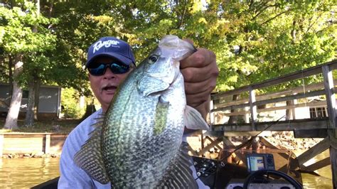 High rock lake is currently managed and operated by the alcoa company. High Rock Lake, NC. - Crappie Fishing. Can you say SLABS ...