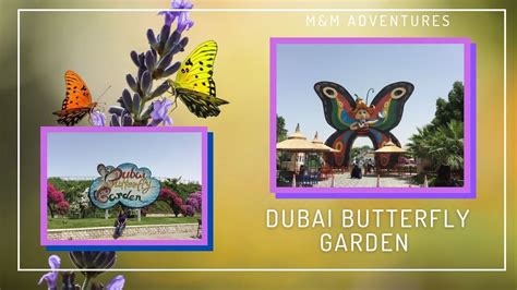 Dubai Butterfly Garden Mandm Adventures Youtube