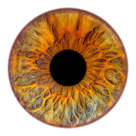 Unusual Irises In People S Eyes The Project Windows To The Soul Pikabu Monster