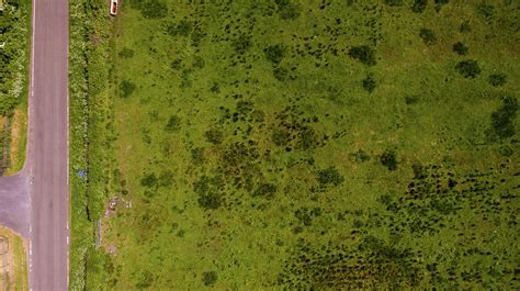 Aerial Grass Texture Photograph By Kelly Jenkins Pixels
