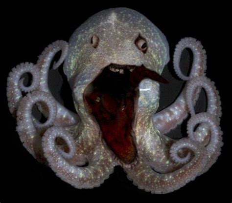 Creepy Deep Sea Creatures 39 Pictures Deep Sea Creatures Sea
