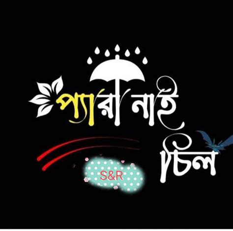 প্যারা নাই জাস্ট চিল Dhaka