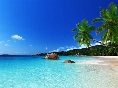 Tropical Paradise Beach Ocean Sea Palm Summer Coast 2560x1600