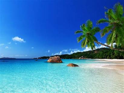 Paradise Tropical Beach Ocean Sea Summer Palm