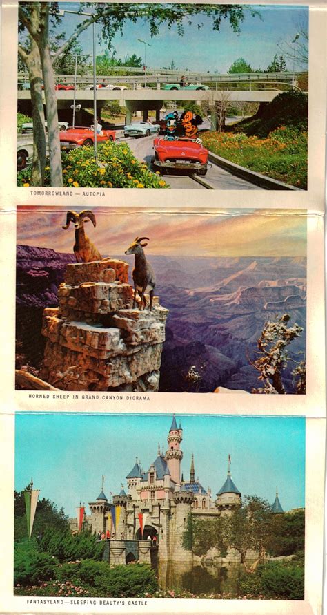 Dan O Florez Vintage Disneyland Postcards Part 1