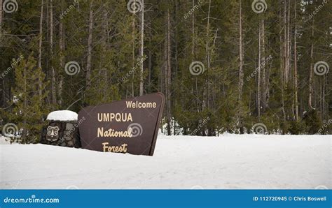 Winter Woods Umpqua National Forest Welcome Sign Stock Image Image Of